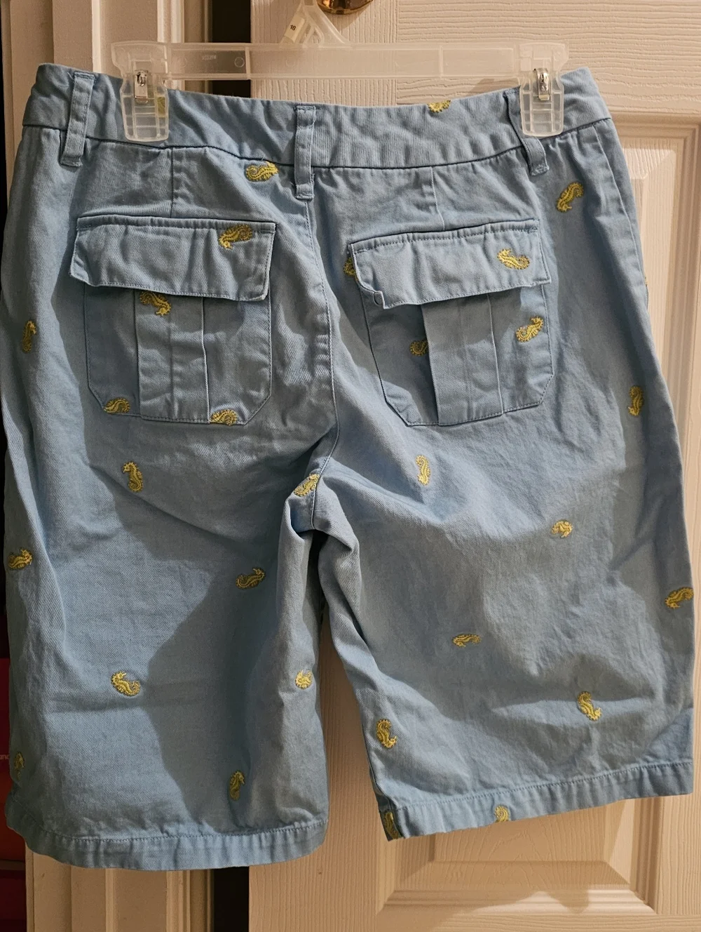 Light Blue Embroidered Ladies Shorts - Picture 2 of 5
